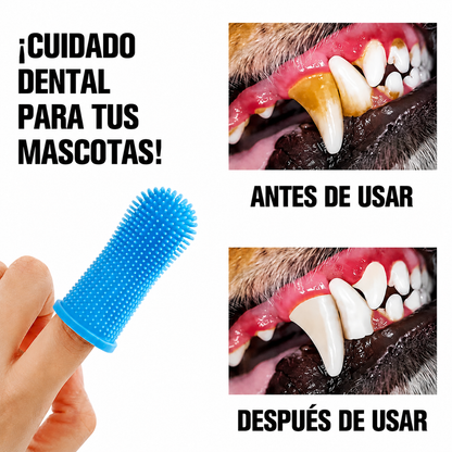 Kit de Higiene Dental Profunda Galanai