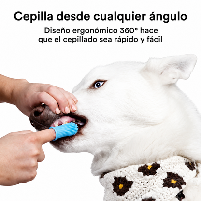 Kit de Higiene Dental Profunda Galanai