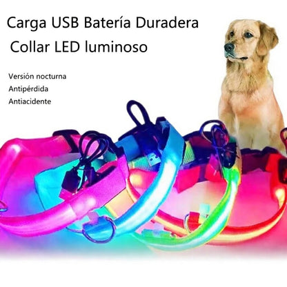 Collar LED de Nylon de Alta Resistencia Galanai NightSafe