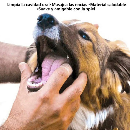 Kit de Higiene Dental Profunda Galanai