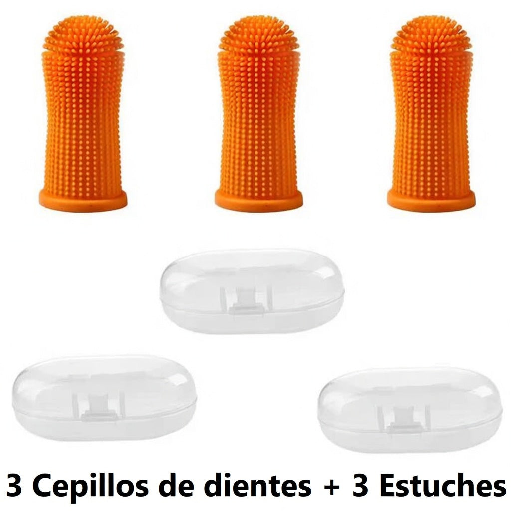 Kit de Higiene Dental Profunda Galanai