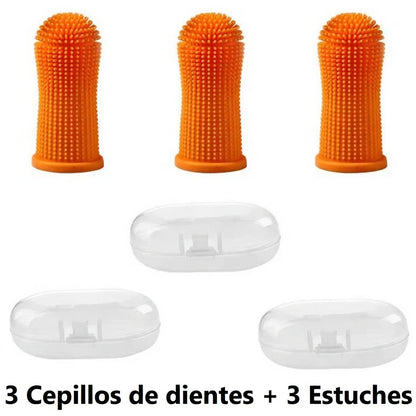 Kit de Higiene Dental Profunda Galanai