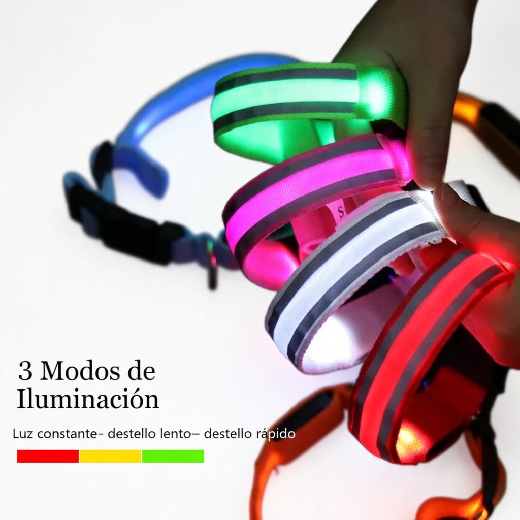 Collar LED de Nylon de Alta Resistencia Galanai NightSafe