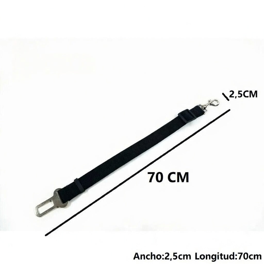 Collar LED de Nylon de Alta Resistencia Galanai NightSafe