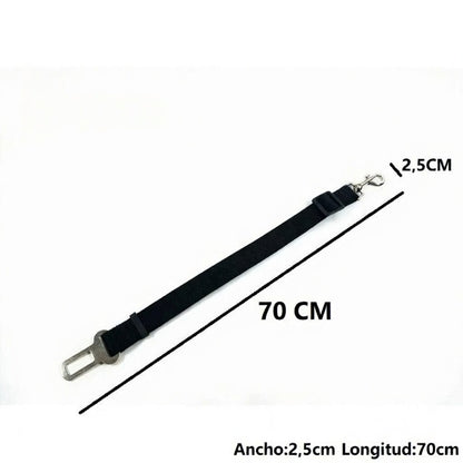 Collar LED de Nylon de Alta Resistencia Galanai NightSafe