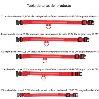 Collar LED de Nylon de Alta Resistencia Galanai NightSafe